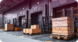 Worldwide print logistics with optimized delivery timelines MGPS