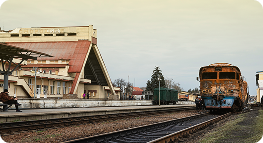 MGPS domestic delivery timelines with fast logistics options