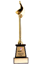 Gold Award for hardcover book printing