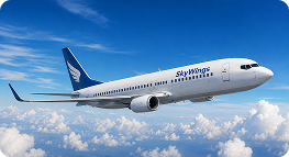 MGPS Air Shipments